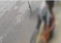 Vídeo mostra desespero de jovem atacada por pitbull na rua em SC: 'Minha única reação foi gritar'