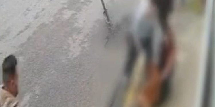 Vídeo mostra desespero de jovem atacada por pitbull na rua em SC: 'Minha única reação foi gritar'