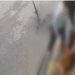 Vídeo mostra desespero de jovem atacada por pitbull na rua em SC: 'Minha única reação foi gritar'